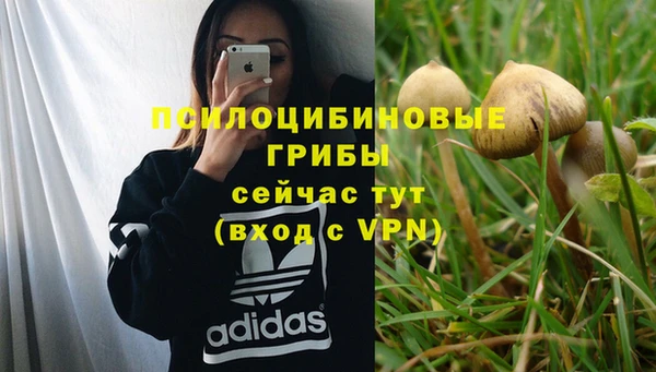 mdpv Нефтегорск
