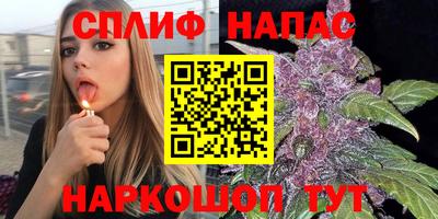 шишки Балаково