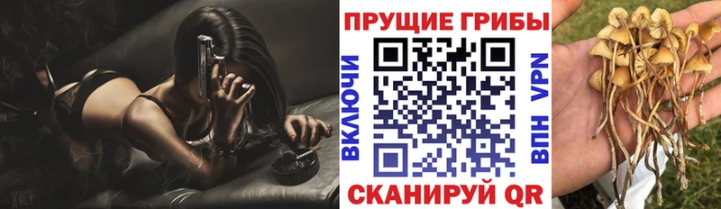 Галлюциногенные грибы ЛСД  Клин 